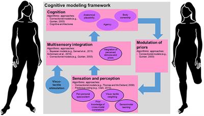 Cognitive Models of Limb Embodiment in Structurally Varying Bodies: A Theoretical Perspective
